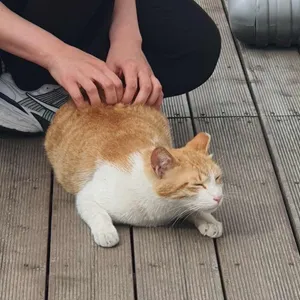 리원카페 리뷰 사진