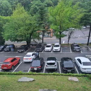 모어그린 리뷰 사진