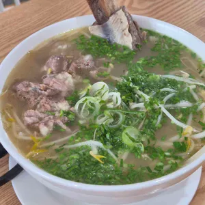 포레스트오늘숲 사진
