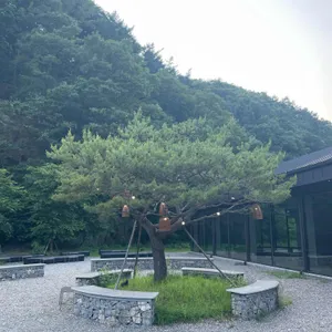 묵리459 리뷰 사진