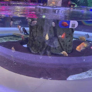 매직플로우 리뷰 사진