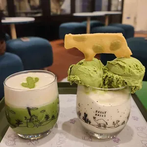 데일리오아시스  사진