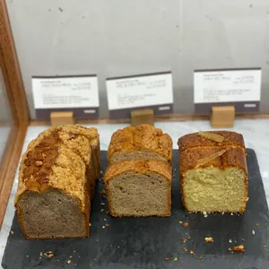 테라로사 사진
