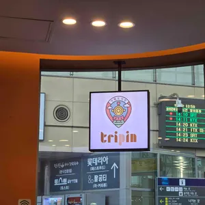 트리핀 리뷰 사진