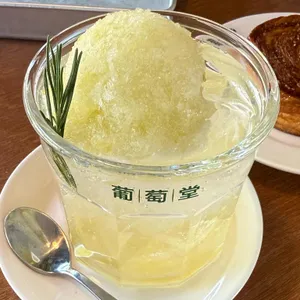 포도당 사진