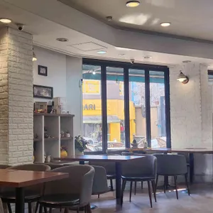 커피나무 사진