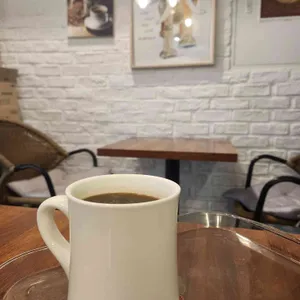 커피나무 사진