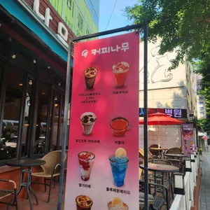 커피나무 사진