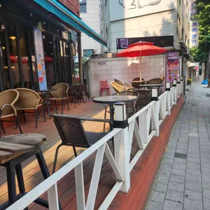 커피나무 사진