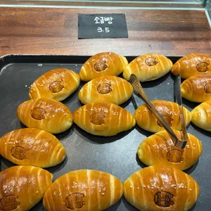 도아시스 사진