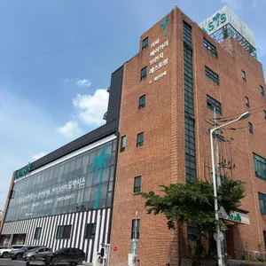 도아시스 리뷰 사진