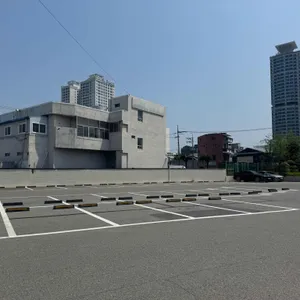 샤브자작나무 리뷰 사진