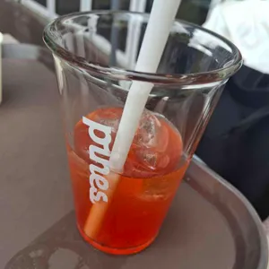 파인즈 사진