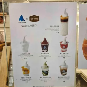 블루샥 사진