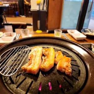 참돼야지 사진