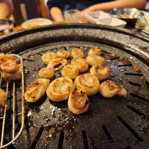 참돼야지 사진