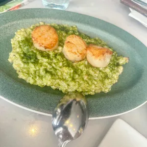 마노디셰프 사진