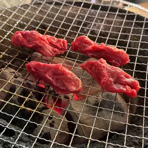 츠쿠요미 사진