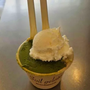 소일 사진