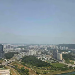 플레져 리뷰 사진