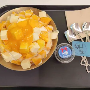 빙달 사진