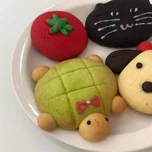 사계절, 일기 사진