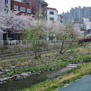 다복한상 리뷰 사진