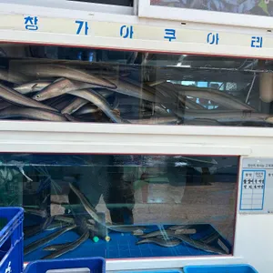 선창가횟집 리뷰 사진