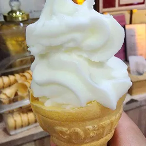 탐라도야지 사진