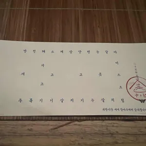 나비 교자바 리뷰 사진