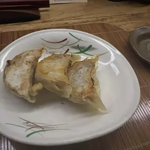 나비 교자바 사진