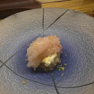 나비 교자바 사진