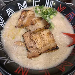 코이라멘 사진