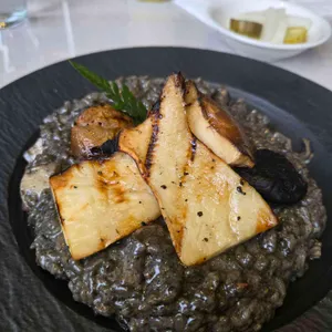 마노디셰프 사진