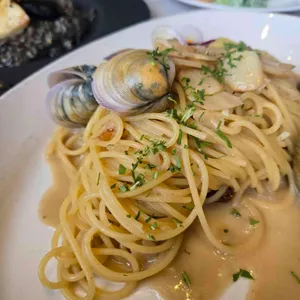마노디셰프 사진