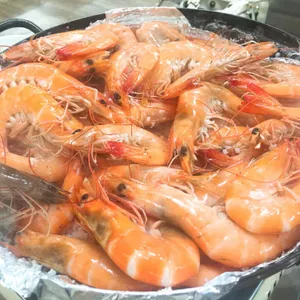 비금도 사진