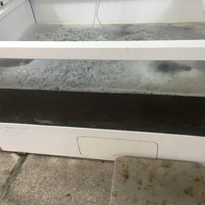 비금도 리뷰 사진