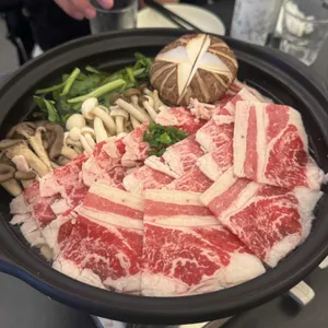 백야 사진