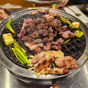 올히 사진