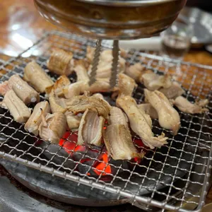 불티꼼장어 사진