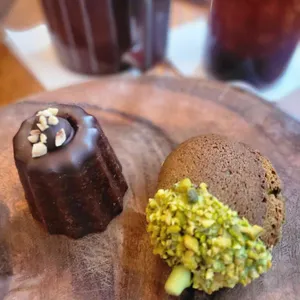 도토리 사진