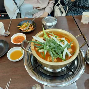 양은이네 사진