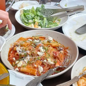 닥터로빈 사진
