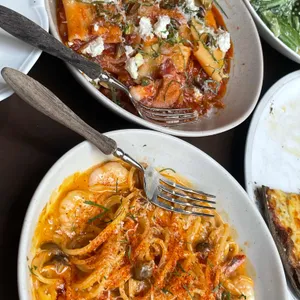 닥터로빈 사진