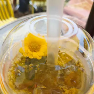 바실라 사진