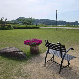 알바노 리뷰 사진