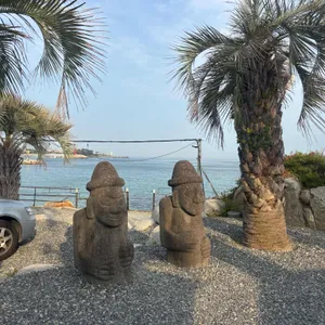 호피폴라 리뷰 사진