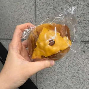 윤숲 사진