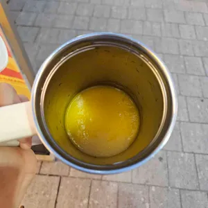 고망고 사진