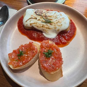 비니투스 사진